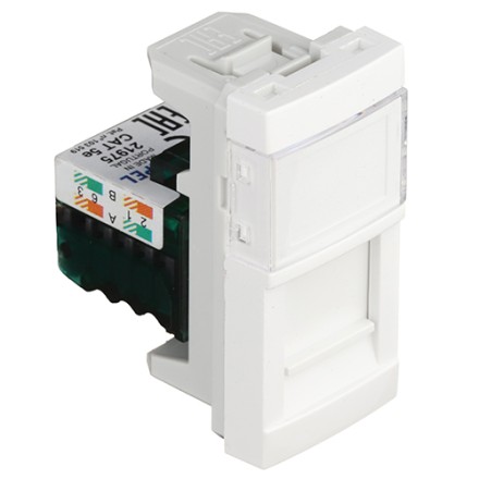 45975 SBM Q45 Tray module 45x22.5 with RJ45 CAT5e socket, matt white 