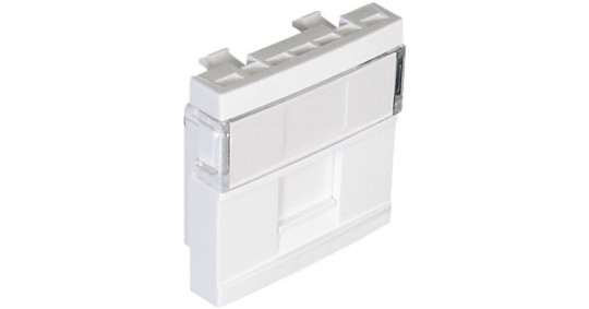 45976 SBR MODULE F/1 RJ CONNECTOR - 2 MOD WHITE 