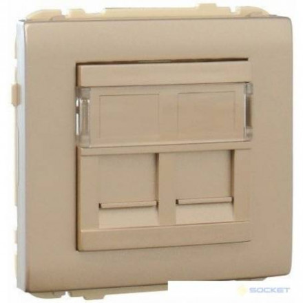 COV RING W/DOUB SUPPORT F/RJ45 CONNECT IVORY 
