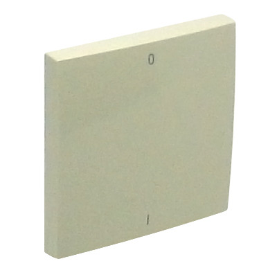 ROCKER F/TWO-POLE SWITCH IVORY 