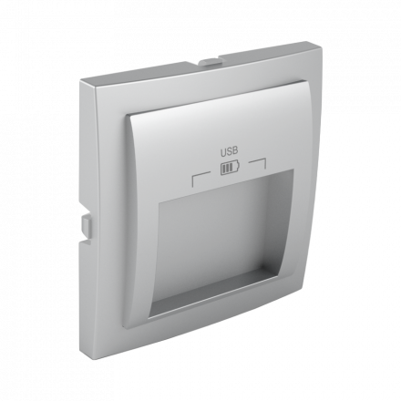 C PLATE DOUB USB CHARG TYPE A 20° OUTPUT AL 