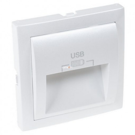 C PLATE DOUB USB CHARG TYPE A 20° OUTPUT ICE 