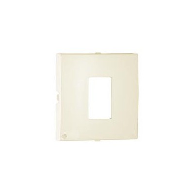 COVER PLATE F/TELEPHONE SOCKET IVORY 