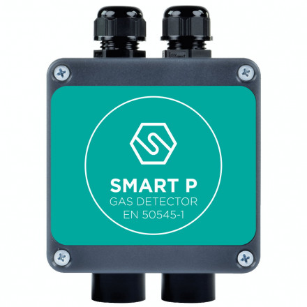 S2400CO-ND SMART P-2 CO and NO2 gas detector, RS-485, 12-24V DC, IP55 