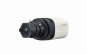morepic-1