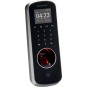 morepic-1