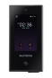 morepic-1