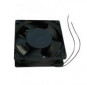 morepic-2