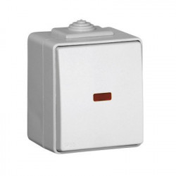 SINGLE POLE SWITCH WITH ORIENTING LIGHT  