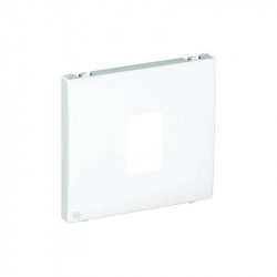 COV PLAT F/SINGLE RJ45 COMP SOCKETS PLATINUM  