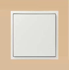 MONOBLOCK COVER F/SINGLE PHASE SOCKET IVORY  