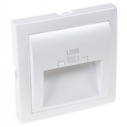 C PLATE DOUB USB CHARG TYPE A 20° OUTPUT ICE  