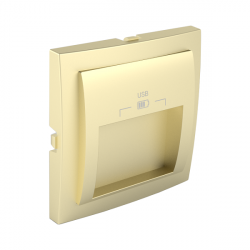 C PLATE DOUB USB CHARG TYPE A 20° OUTPUT IV  