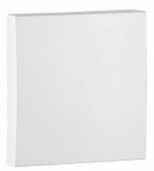 BLIND COVER PLATE ICE  