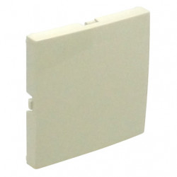 BLIND COVER PLATE IVORY  