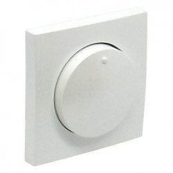COV PLAT F/DIMMER/TWO-WAY SWITCH ICE  