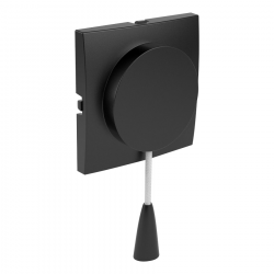 C.PLAT PULL-CORD PUSH-BUT/2-WAY SWITCH MTE BK  