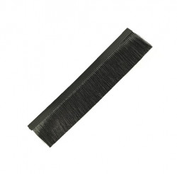 M1I-00-0013 Dust fetlock  