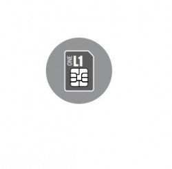 996020L1 ISC Smartcard Level 1 (40 Doors, 200 Zones, 2.000 Users, 20.000 Events)  