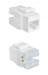 UTP CAT6 RJ45 socket SecurityNet  